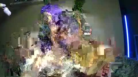 17carrjo974416 online show from May 22, 5:14 am