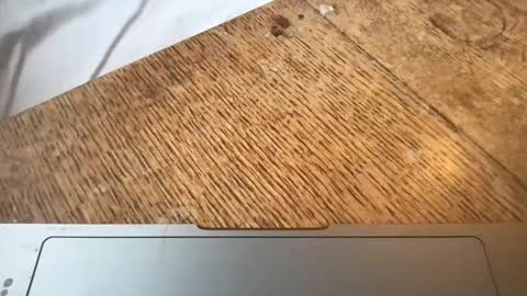 man 18 but cute online show from December 7, 9:55 am