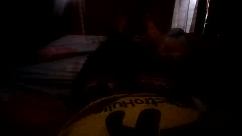 Felipe25cm online show from October 5, 1:51 pm