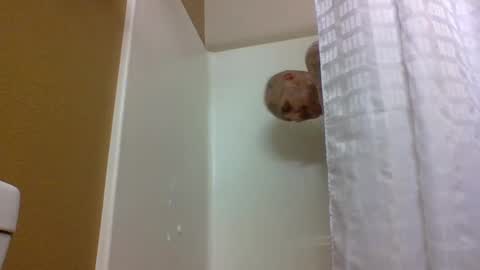 TheShyOne18 online show from October 3, 11:57 pm