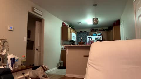 22bigelo2316 online show from October 7, 2:18 am