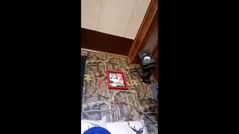 24cockrings online show from March 29, 6:53 pm