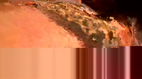 4inchshardlol online show from December 15, 10:55 am