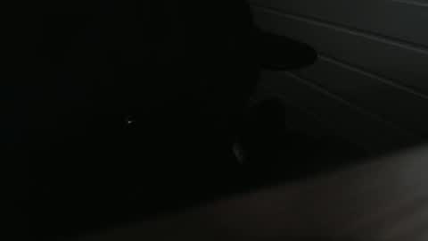 64293boy online show from February 7, 2:58 am