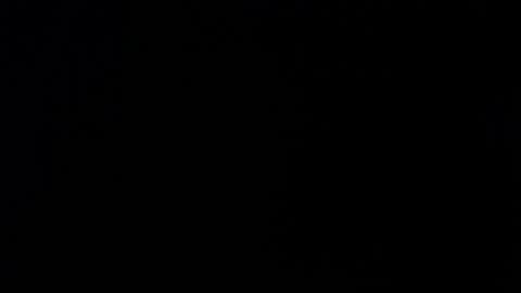 Alexa online show from November 26, 11:51 am