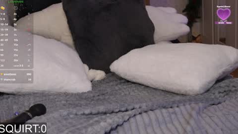 Alexa online show from January 25, 9:15 am