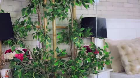 _carlawhite_ online show from May 8, 4:18 am