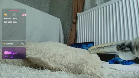    online show from January 15, 8:17 pm