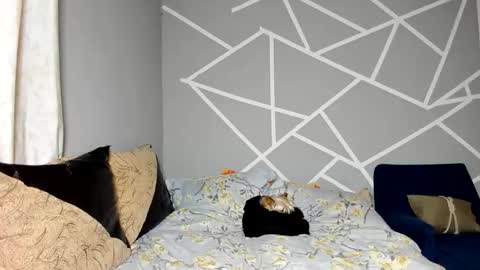 Dennise online show from November 12, 6:38 am