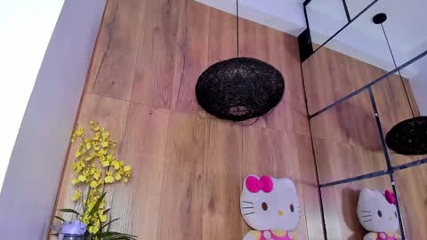 Snapshot of _littlelia chatting on January 17, 11:49 am Anna online show from January 17, 11:49 am