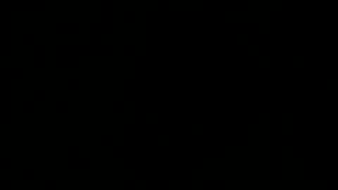 Alli online show from February 12, 9:46 am