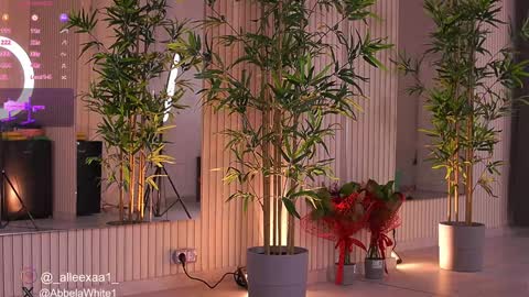 Snapshot of abbela_white chatting on February 3, 9:52 am Alexa online show from February 3, 9:52 am