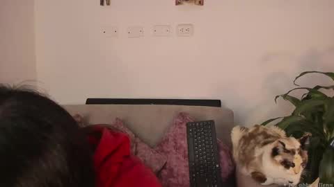 Snapshot of abbey_allen chatting on March 7, 11:38 pm Abbey IG abby allenn Independent model online show from March 7, 11:38 pm