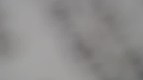 ABBY online show from February 5, 1:00 pm