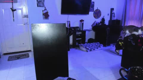 Alice online show from January 3, 6:46 pm
