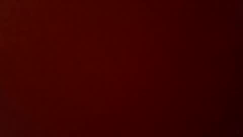 adamkapasi7 online show from December 14, 7:14 am