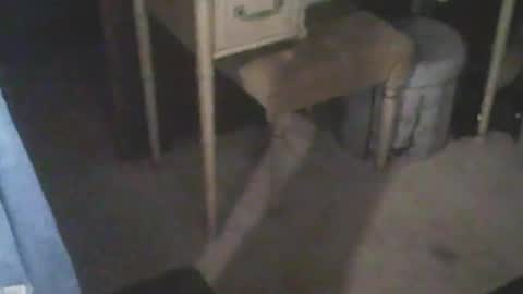 adamsny online show from September 13, 7:00 am