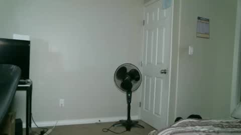 adelaideweight online show from February 3, 11:25 am