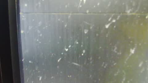 adiraxo online show from October 13, 1:24 pm