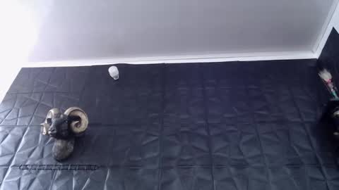  Miss Agata  online show from February 24, 6:33 pm