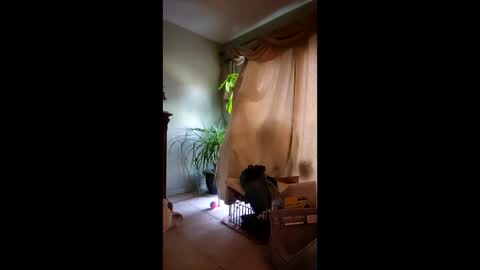 ajiii1313 online show from April 10, 12:21 pm