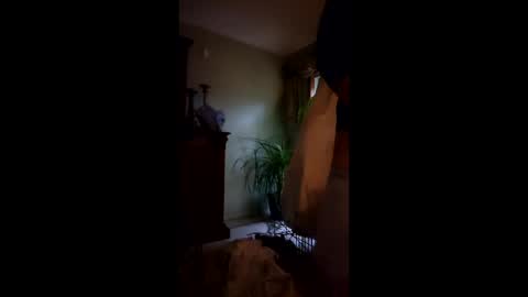 ajiii1313 online show from March 12, 12:09 pm