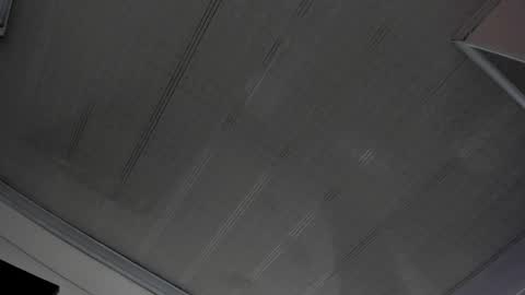 Snapshot of alana_madison chatting on February 11, 4:56 pm Maeve online show from February 11, 4:56 pm