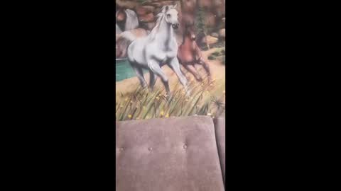 albina online show from February 13, 9:45 am