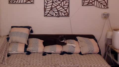 Sandra online show from February 25, 8:11 pm