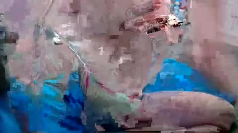 Doggystyle online show from December 25, 6:52 pm