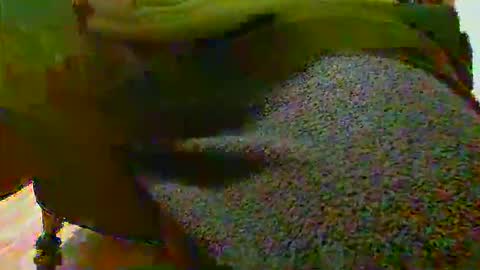 Alex online show from September 23, 11:22 pm