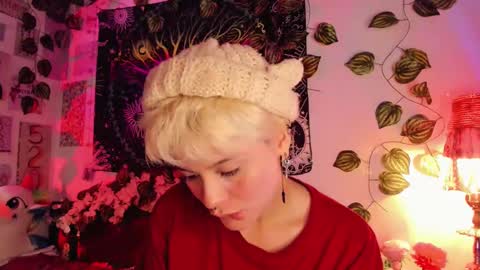 Alex online show from February 1, 12:58 pm