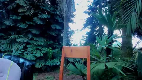 alicemrtnzz online show from March 5, 6:06 pm