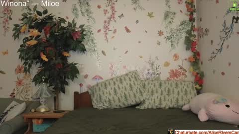 Snapshot of aliceriverscam chatting on December 17, 9:16 pm Alice Rivers ---- Enter my public Discord- online show from December 17, 9:16 pm