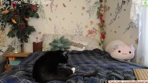 Snapshot of aliceriverscam chatting on January 18, 8:40 pm Alice Rivers ---- Enter my public Discord- online show from January 18, 8:40 pm