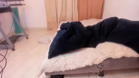 Snapshot of aliciapalmer19 chatting on February 7, 11:24 pm Alis 3 independent model 3 online show from February 7, 11:24 pm