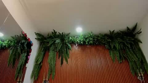 Alice online show from March 10, 1:10 am