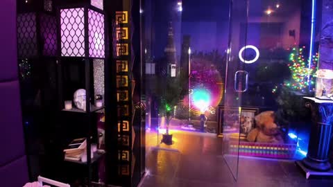 Alma online show from October 5, 9:40 am