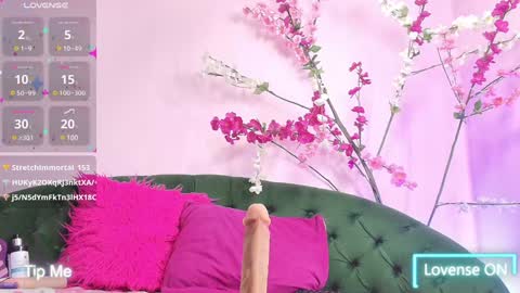 Snapshot of almendraevans chatting on January 31, 3:22 pm ALMENDRAEVANS online show from January 31, 3:22 pm