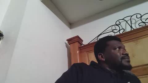 alotacat online show from November 8, 12:30 pm