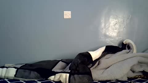 amanda_pavo online show from September 16, 8:12 pm
