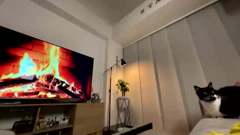  Ama  online show from March 10, 12:37 am