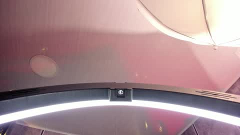 Amara Lewis online show from September 26, 12:35 pm