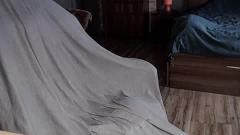 Malina online show from January 13, 8:05 am