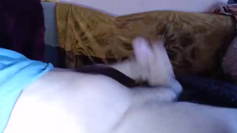 amazingcuteboy845 online show from April 15, 8:20 pm