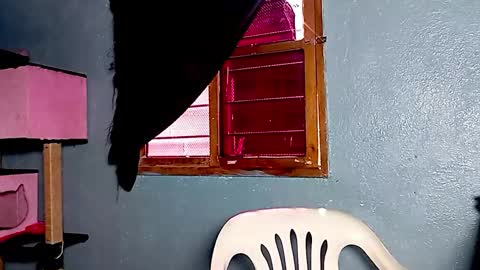 Amelia  Lucas online show from November 17, 3:14 pm