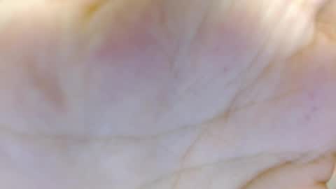 amelia_fry online show from March 5, 4:24 am