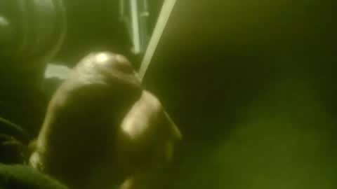 amolafica12 online show from December 20, 10:22 am