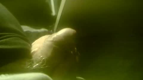 amolafica12 online show from November 19, 7:40 am