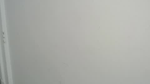 Snapshot of amy_le chatting on February 18, 4:36 pm Amy online show from February 18, 4:36 pm